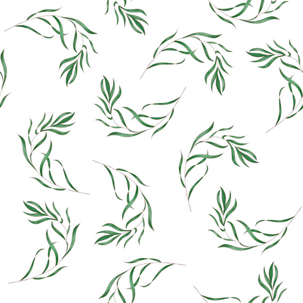 Ficus plant leaves seamless pattern on white. - Fotografie, Obrázek