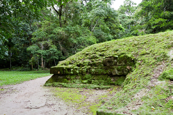 ερείπια κάτω από τη ζούγκλα - Φωτογραφία, εικόνα