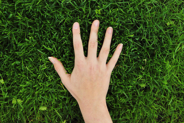 hand fingers on spring green grass background - Foto, Imagem