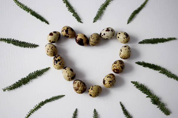 Heart of quail eggs with herbs all around - Foto, Bild