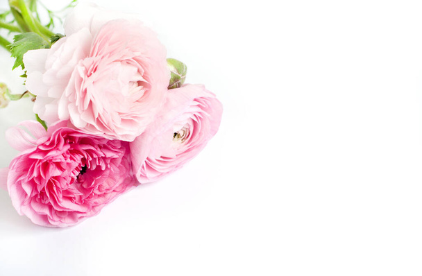 Beautiful bouquet of ranunculus flowers of pink color on a white background. Flowers and buds. Copy space for text - Foto, imagen