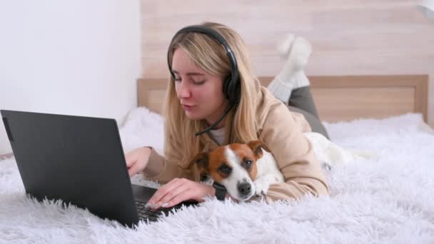 Çevrimiçi iş. Serbest çalışan genç bir kız evinde, yatağında dizüstü bilgisayarıyla çalışıyor. Yanında da sevimli bir köpek yatıyor. Mesafe öğrenme. Ev kavramından çalış. hayvanlar ve insanlar - Video, Çekim