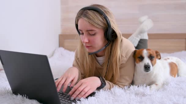 Distant online work. A young girl freelancer is working on a laptop at home in her bed near lies a cute little dog. Distance learning. Work from home concept. animals and people - Metraje, vídeo