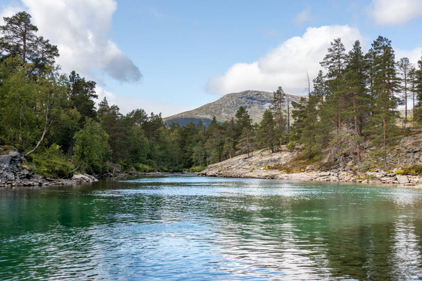 Sunny day by the cold sparkling river in pine forest mountains of Norway. Natural background with blue sky and clouds - Photo, Image