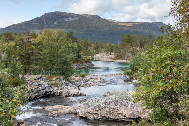 Sunny day by the cold sparkling river in pine forest mountains of Norway. Natural background with blue sky and clouds - Zdjęcie, obraz