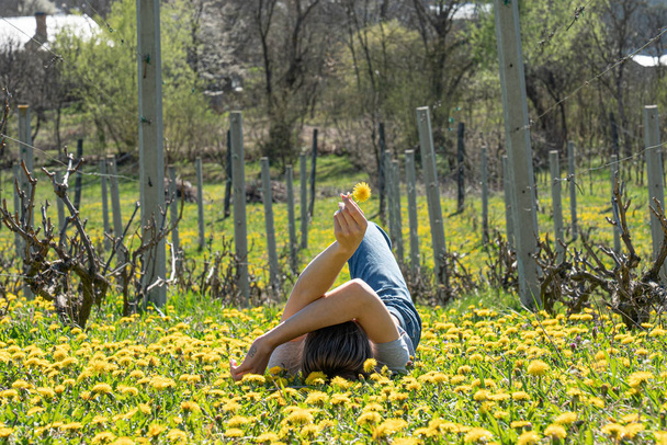 Солнечное фото молодой девушки на желтом лугу с одуванчиками
 - Фото, изображение