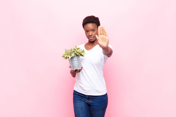 young pretty black womanlooking serious, stern, displeased and angry showing open palm making stop gesture holding a plant - Foto, imagen