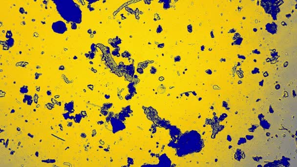 Der Teer schwimmt zwischen Schmutzpartikeln in blauen und gelben Farben - Filmmaterial, Video