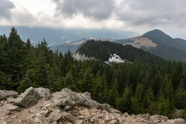 carpathian mountains and pine forest cloudy landscape Romanian countryside - Foto, Imagem