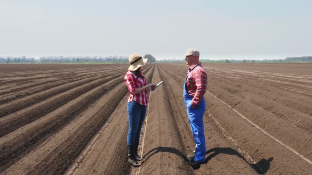 Farmer and agronomist stands between soil rows, furrows on field, with digital tablet, talking, analysing quality of potatoe cultivator planting. modern agriculture. spring sunny day - Metraje, vídeo