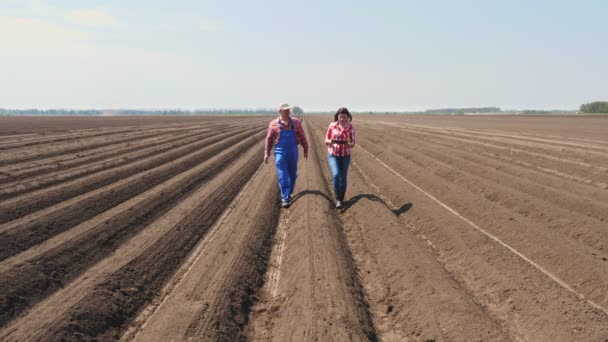 Farmer and agronomist walks through deep furrow, between soil rows on field, with tablet, testing quality of potatoe planting by cultivator.modern agriculture. spring sunny day. - Materiaali, video