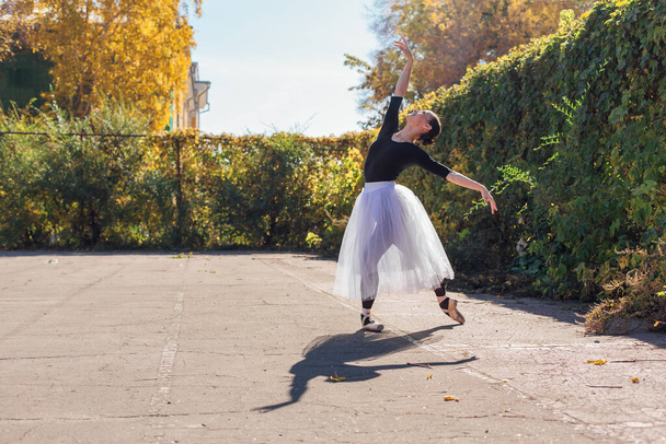 Woman ballerina in a white ballet skirt dancing in pointe shoes in a golden autumn park. Ballerina standing in beautiful ballet pose - Fotografie, Obrázek