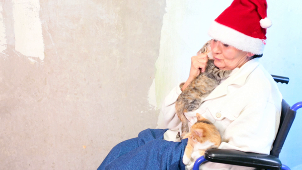 Vanhempi nainen kissojen kanssa jouluhattu istuu pyörätuolissa
 - Materiaali, video