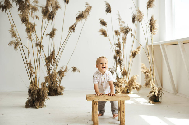 A portrait of a small cheerful boy on a white background with reeds - Foto, imagen