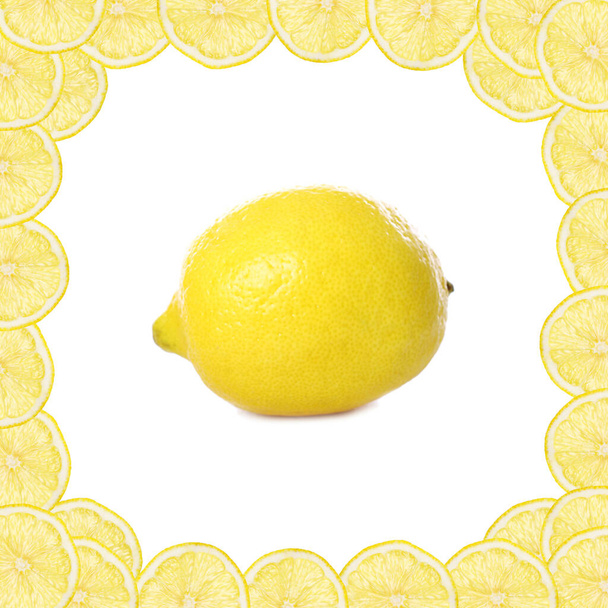Фото свежего желтого лимона с рамкой из ломтиков лимона - Фото, изображение
