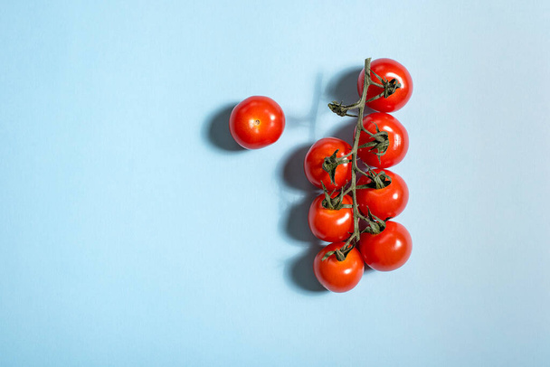 A branch of red tomatoes on a blue background. Minimal . - Fotoğraf, Görsel