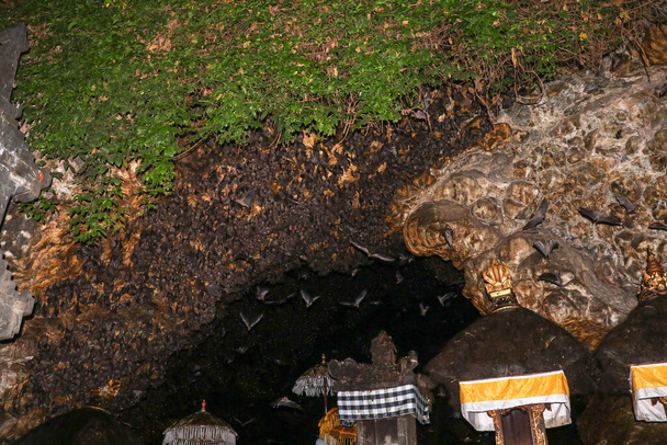 Pura Goa LawahまたはBat Cave Templeの祭壇。バリ島のヒンズー教寺院, Klungkung,バリ島,インドネシア.コウモリの中には岩の上を飛ぶものもいる。天井から吊るされたコウモリの群れが闇を待っている. - 写真・画像
