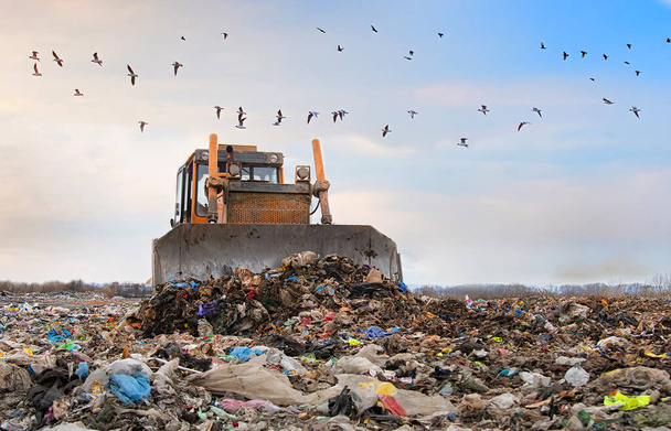 Planierraupe arbeitet auf Mülldeponie mit Vögeln am Himmel - Foto, Bild