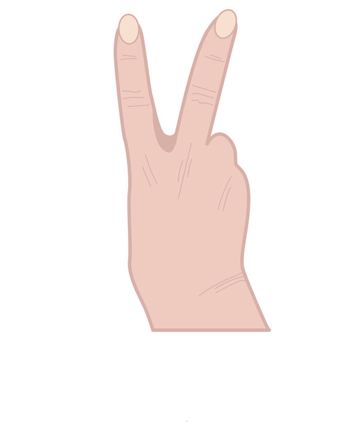Рука показывает знак победы с двумя пальцами вверх. V знак победы или мира. Изолированная векторная иллюстрация человеческой руки
.   - Вектор,изображение