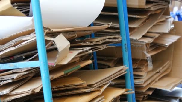 Kartonnen dozen gevouwen voor verdere verwerking. Afvalsortering, milieubescherming - Video