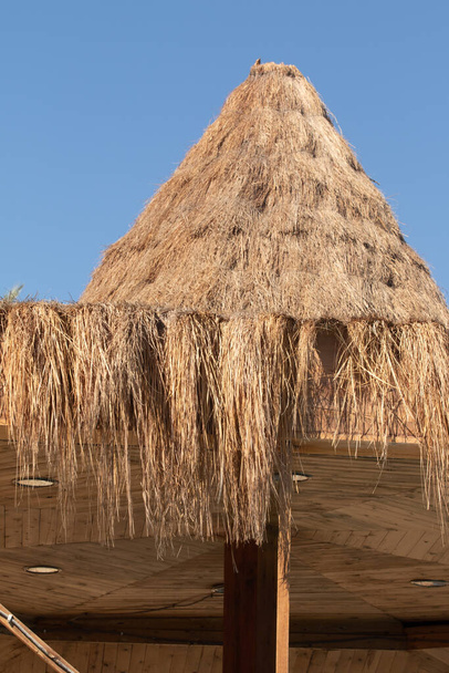 Thatched roof umbrella. Full frame of hanging straw under the roof. - Photo, Image