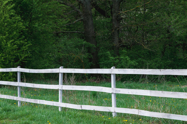 white fence enclosing the forest - Fotografie, Obrázek