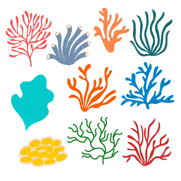 Set von Meereskorallen auf weißem Hintergrund in Vektorgrafiken. Für die Gestaltung von Tapeten, Notizbüchern, Drucken für Textilien, Packpapier, Verpackungen - Vektor, Bild