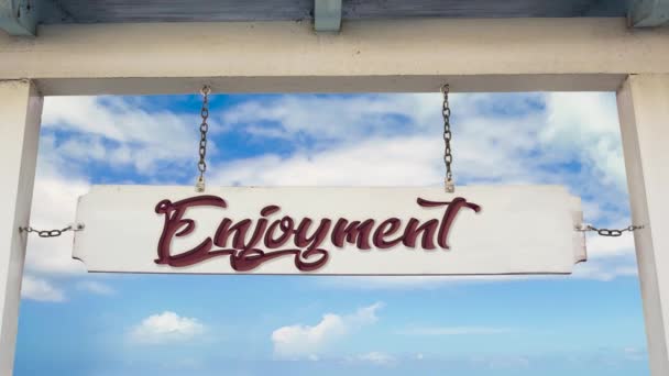 Street Sign the Way to Enjoyment - Footage, Video