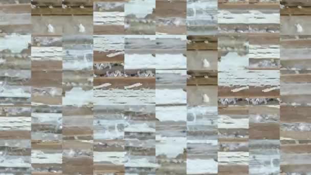Abstract video van mozaïektexturen uit fragmenten van een houten oud bord met kleine scheurtjes met zeezand. Achtergrond ontwerp. Achtergrondinformatie. Behang. - Video