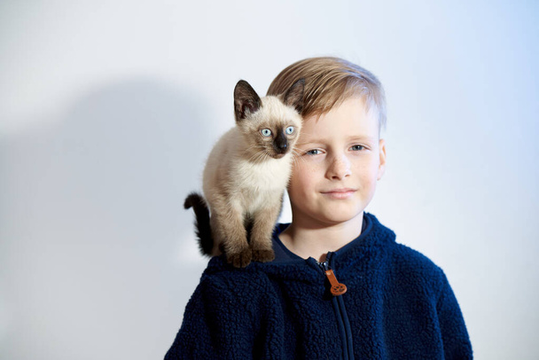 Little boy with his pet Siamese kitten - Photo, image