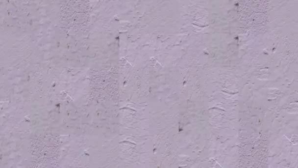 Abstract video of mosaic textures from fragments of a cement wall in lilac paint. Background design. Backdrop. Wallpaper. - Footage, Video