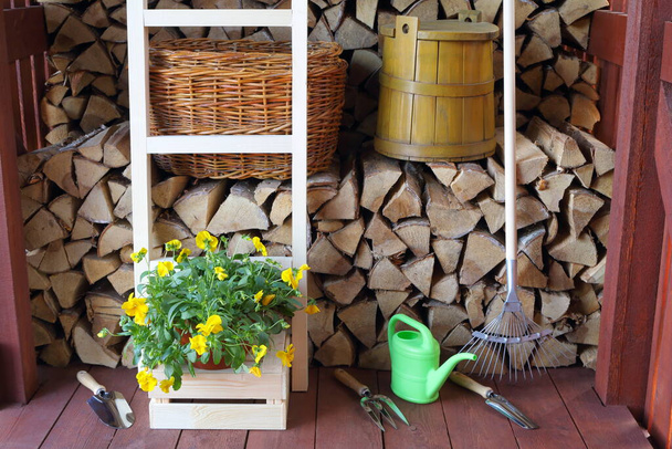 L'ensemble d'outils de jardin et de buisson de fleurs de Petunia dans un hangar en bois sur le fond de bois de chauffage de bouleau empilable
. - Photo, image