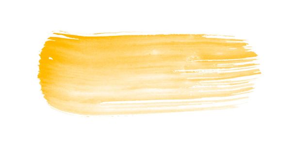 Beautiful yellow brushes isolated on white background - 写真・画像