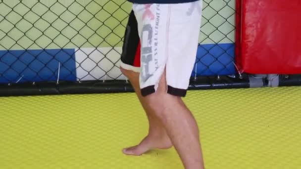mužský kickboxer jde na sport do tělocvičny - Záběry, video