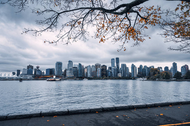 Vista desde el parque Stanley con arce y rascacielos en el centro de la costa en Vancouver, Canadá
 - Foto, Imagen