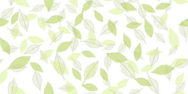 Green leaves background - Vector, afbeelding