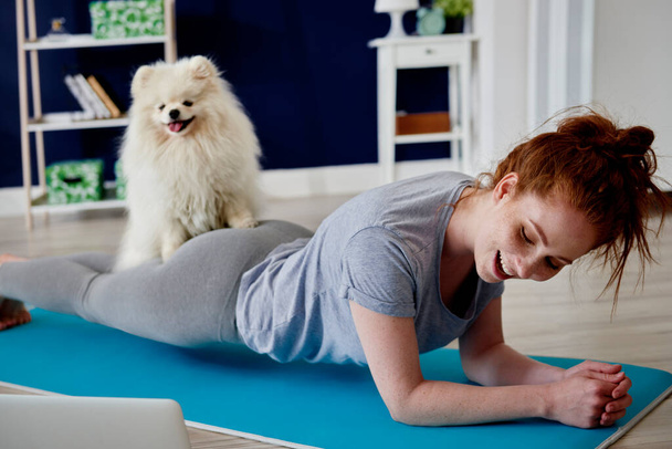 Woman doing some yoga exercises with  her dog at home - Photo, Image