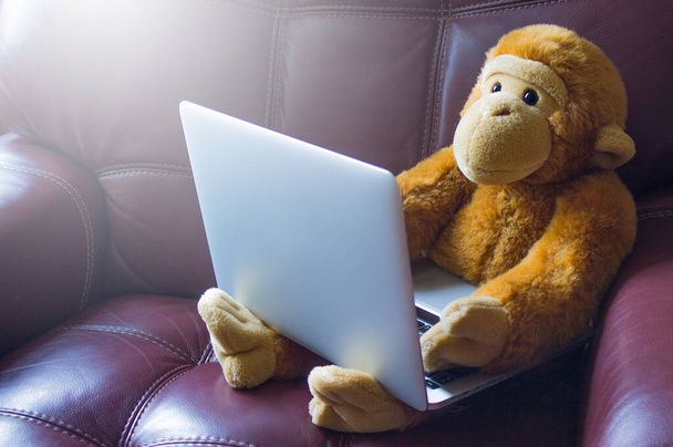 Plush monkey with a laptop on a leather chair close-up. The concept of online communication during the period of quarantine - 写真・画像