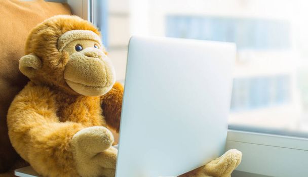 Plush monkey with a laptop on the windowsill close-up. The concept of online communication - Fotografie, Obrázek