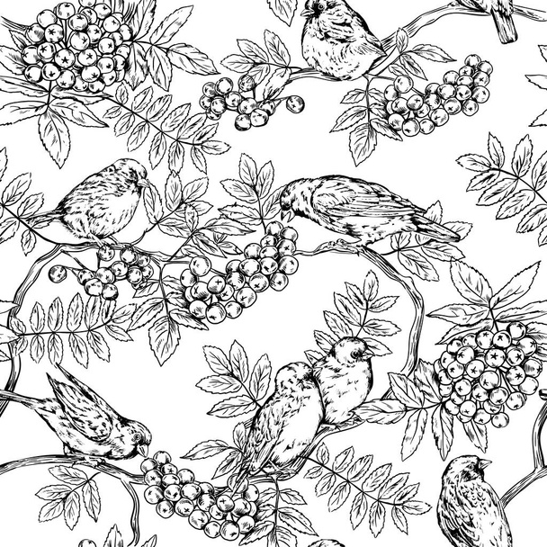 Graphic seamless background with sparrows and berries - Vecteur, image