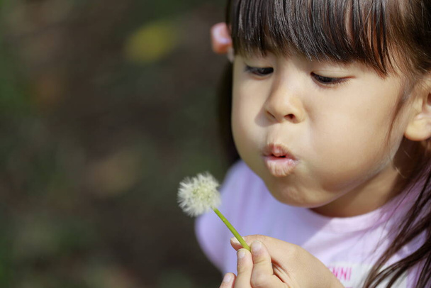 Japanese girl blowing dandelion seeds (5 years old) - Photo, Image