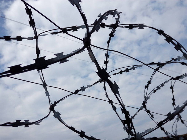 Бруно спираль колючей проволоки забор против голубого неба
 - Фото, изображение