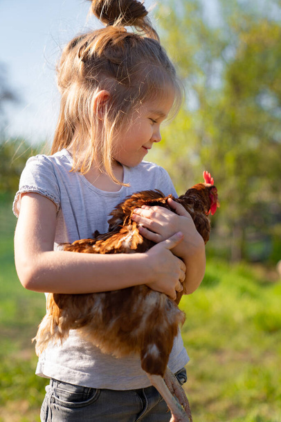La bambina sta tenendo la gallina in fattoria.
.  - Foto, immagini