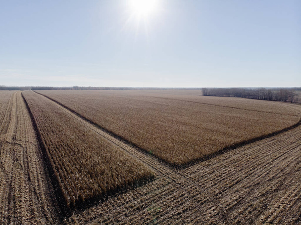 Сбор кукурузного трактора с высоты
 - Фото, изображение