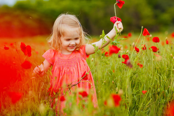 Hermoso niño recogiendo flores en el campo de amapola
 - Foto, Imagen