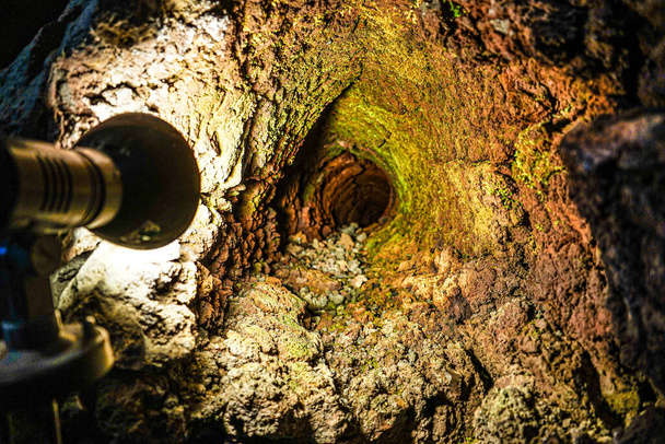 Hledání jeskynního typu Lava tree - Fotografie, Obrázek
