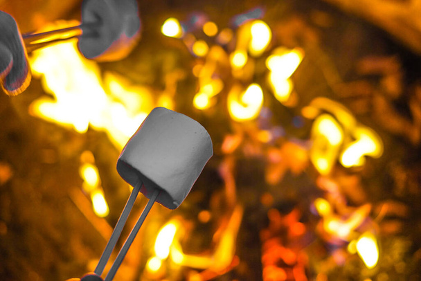 a Campfire and marshmallows image - Photo, Image