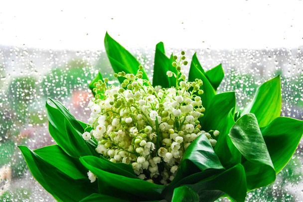 Букет лилий долины стоит в стеклянной банке на подоконнике. Окно с капельками дождя, зелеными листьями
 - Фото, изображение