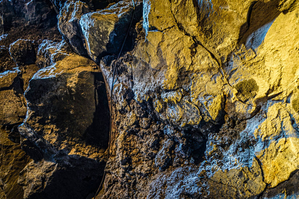 溶岩樹型洞窟探索 - 写真・画像