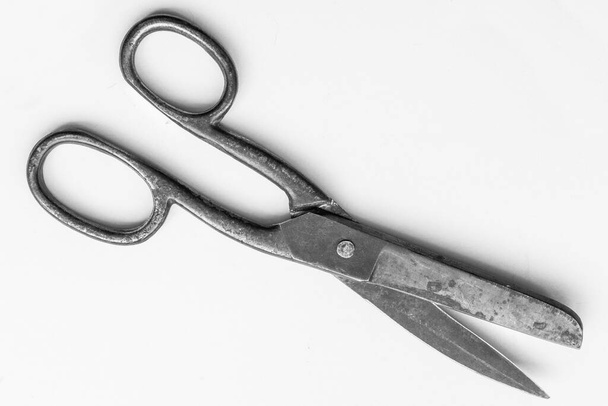 Old rusty big scissors on a gray background. Tool for the tailor. - Photo, Image